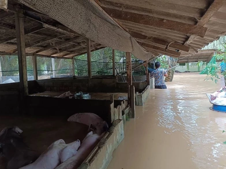 น้ำท่วมตรังเริ่มคลี่คลาย ชาวบ้านเร่งสำรวจความเสียหาย