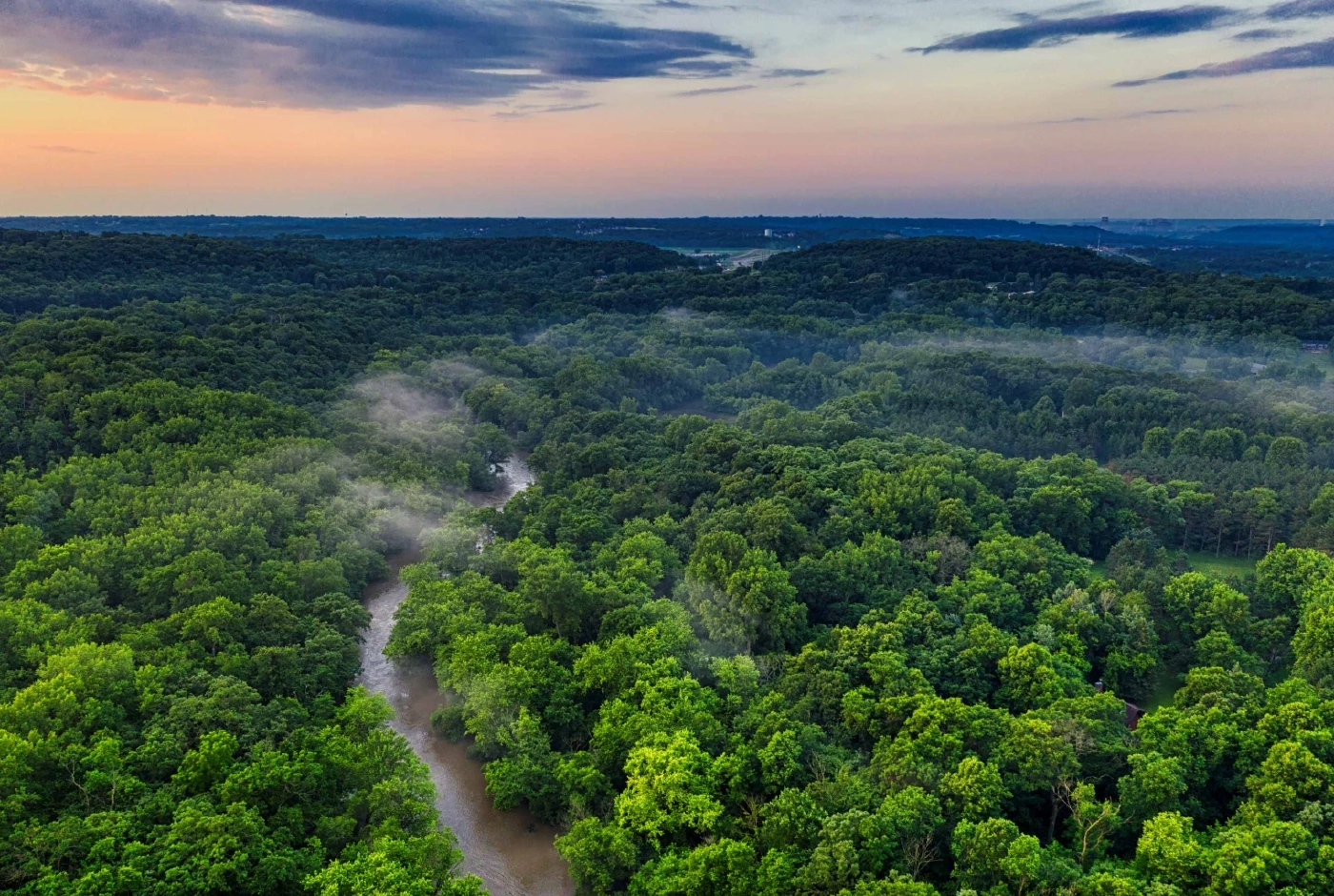 บราซิลเผยคนตัดป่าแอมะซอนลดลง 66% แนวโน้มดีสุดในรอบ 7 เดือน
