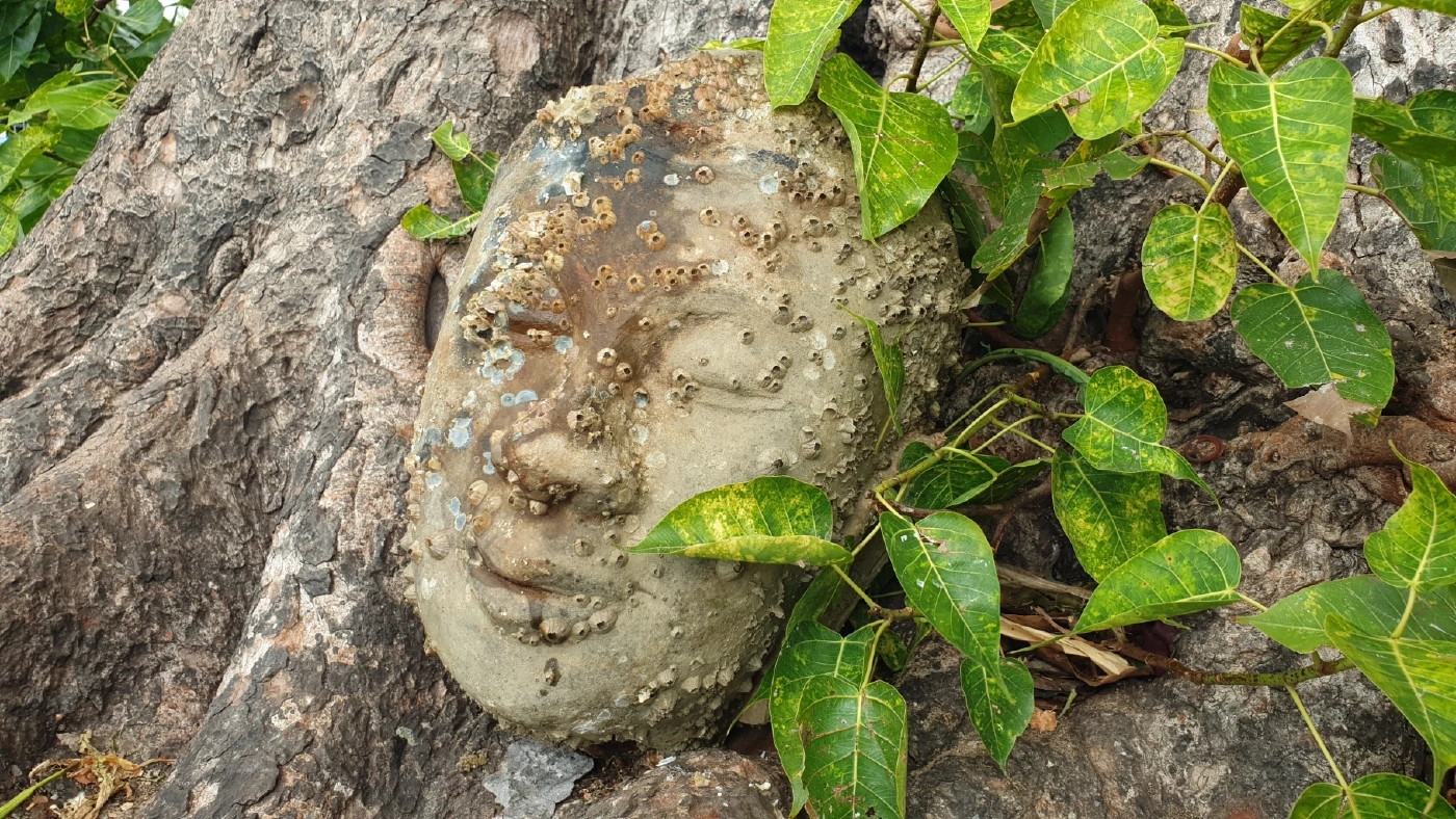 ชาวประมง นอนผวา หลังพบเศียรพระ กลางทะเลประจวบฯ สุดท้ายต้องมาขอขมา