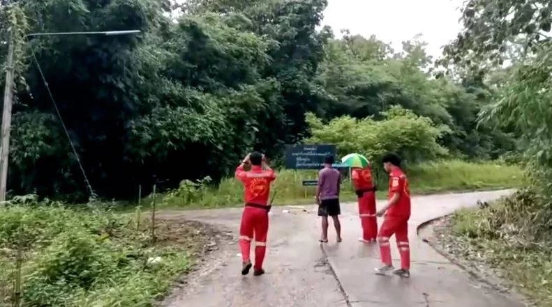 เจ้าหน้าที่ยิงยาสลบช้าง หลังใช้งาแทง กระทืบควาญเลือดร้อนดับ