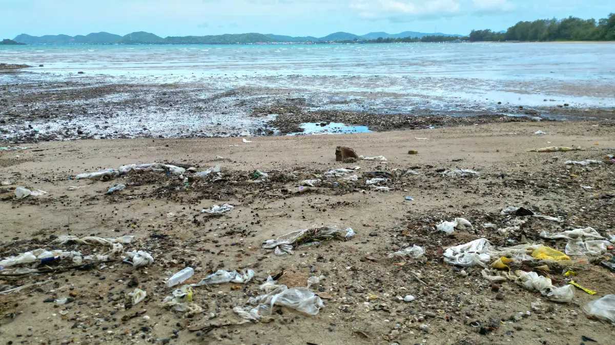 ขยะพลาสติกจำนวนมากถูกคลื่นซัดเกยหาดดงตาล