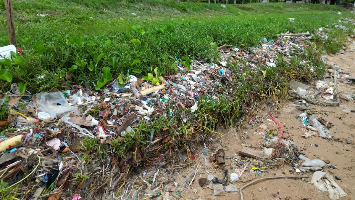 ขยะพลาสติกจำนวนมากถูกคลื่นซัดเกยหาดดงตาล
