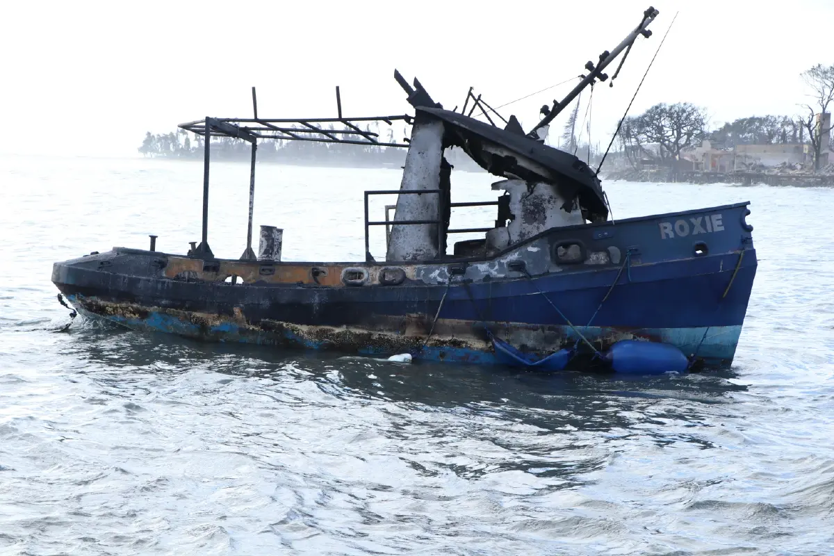 ฮาวายไม่ได้เปิดไซเรนเตือนภัยไฟป่า ยอดเหยื่อพุ่งเฉียดร้อย