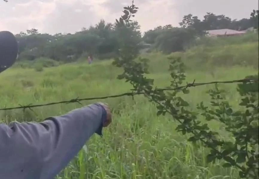 หนุ่มอุดรฯ ตกใจสุดขีด ควายงามหายทีเดียว 7 ตัว สุดท้ายตามหาจนเจอ