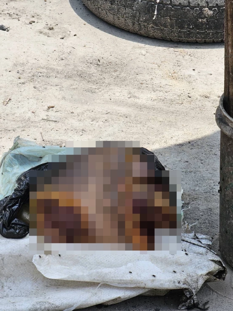 เร่งล่าตัว "ชายชาวต่างชาติ" เอี่ยวหั่นชิ้นส่วนมนุษย์ ทิ้งบ่อขยะเกาะพะงัน