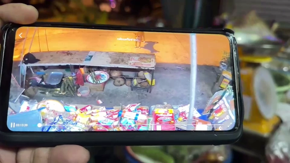 เปิดคลิปนาทีชีวิต  รถกระบะซิ่ง หักหลบสุนัข พุ่งชนเสาไฟ สังเวย 2 ชีวิต