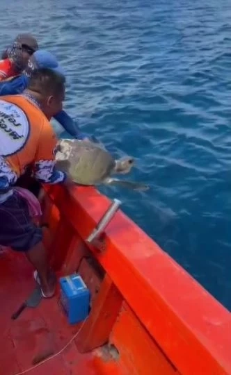 นักตกปลา เผยคลิปช่วยชีวิต "เต่าทะเล" ติดขยะซากอวนประมง