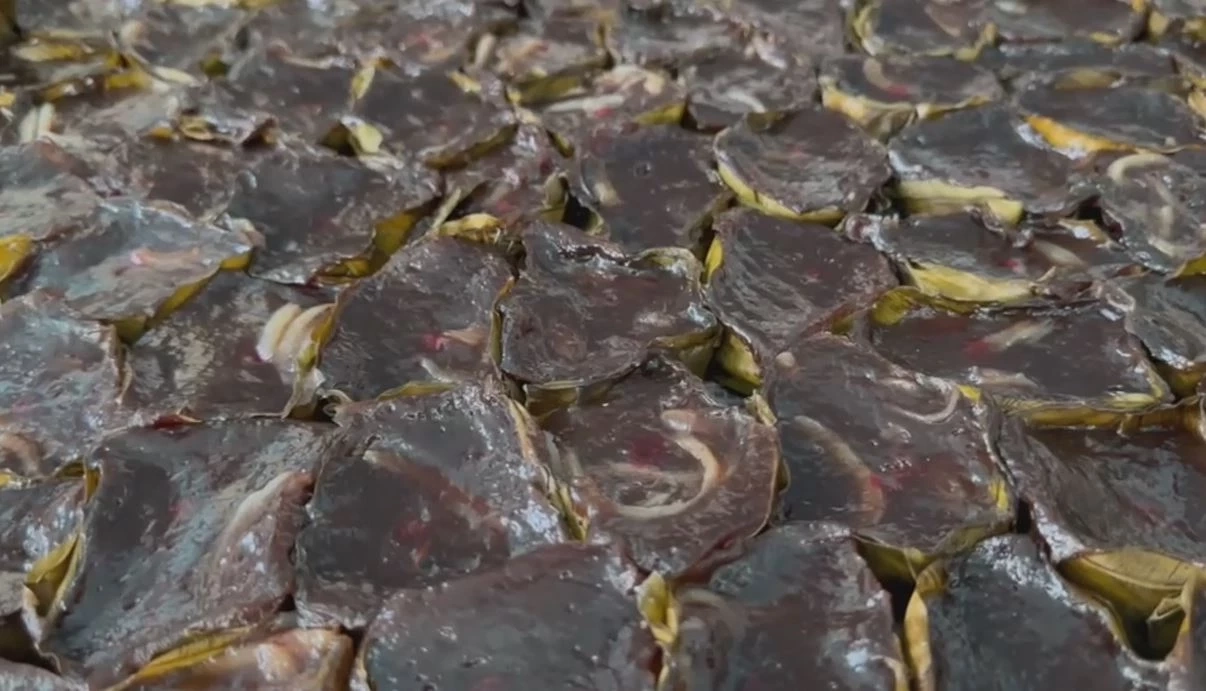 แม่ค้าเร่งทำขนมเข่ง-ขนมเทียนขาย รับสารทจีน แม้ต้นทุนสูงขึ้น แต่ยังขายราคาเดิม