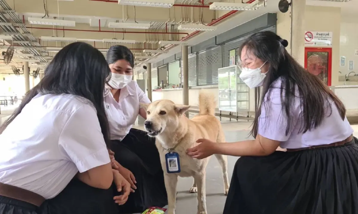 สุดเอ็นดู "อเล็กซ์ซานเดอร์ ไข่ม้วน" เซเลบ 4 ขา พนง.ต้อนรับของ ม.มหิดล นครสวรรค์