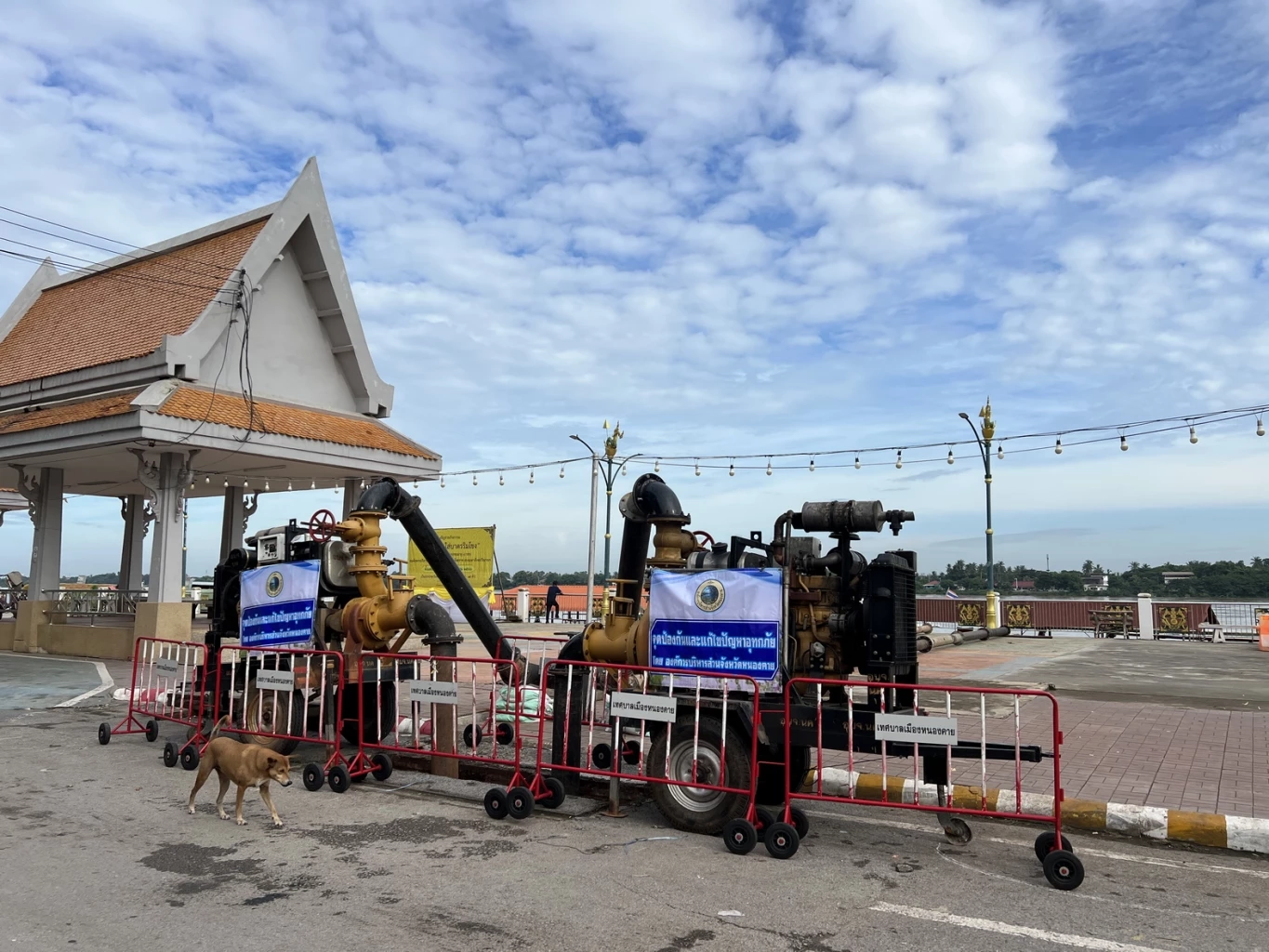 "แม่น้ำโขง"วิกฤต จังหวัดอีสานเตรียมรับมือน้ำท่วม พร้อมประกาศเขตภัยพิบัติ