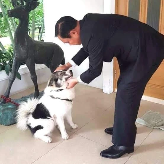 โหรฟองสนาน เตือนแรง 1 ราศี เจ็บ ดวงพลัดพราก แถมเกณฑ์ร้ายระรานดวงชะตา