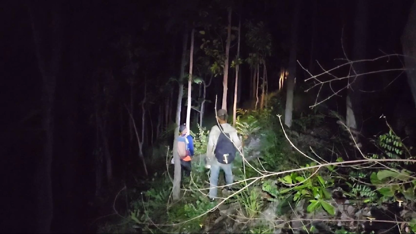 เร่งระดมค้นหาต่อเช้านี้ คุณตา 70ปี เข้าป่าหาเห็ด พลัดหลงป่า