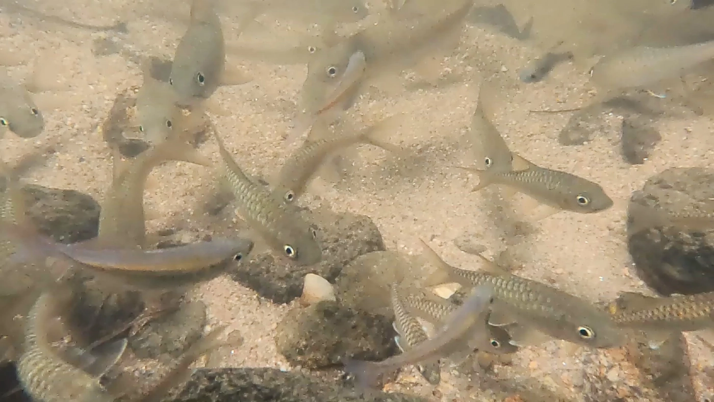 น้ำตกโตนไพร ที่เที่ยวพังงาหน้าฝน เดินชมธรรมชาติงาม