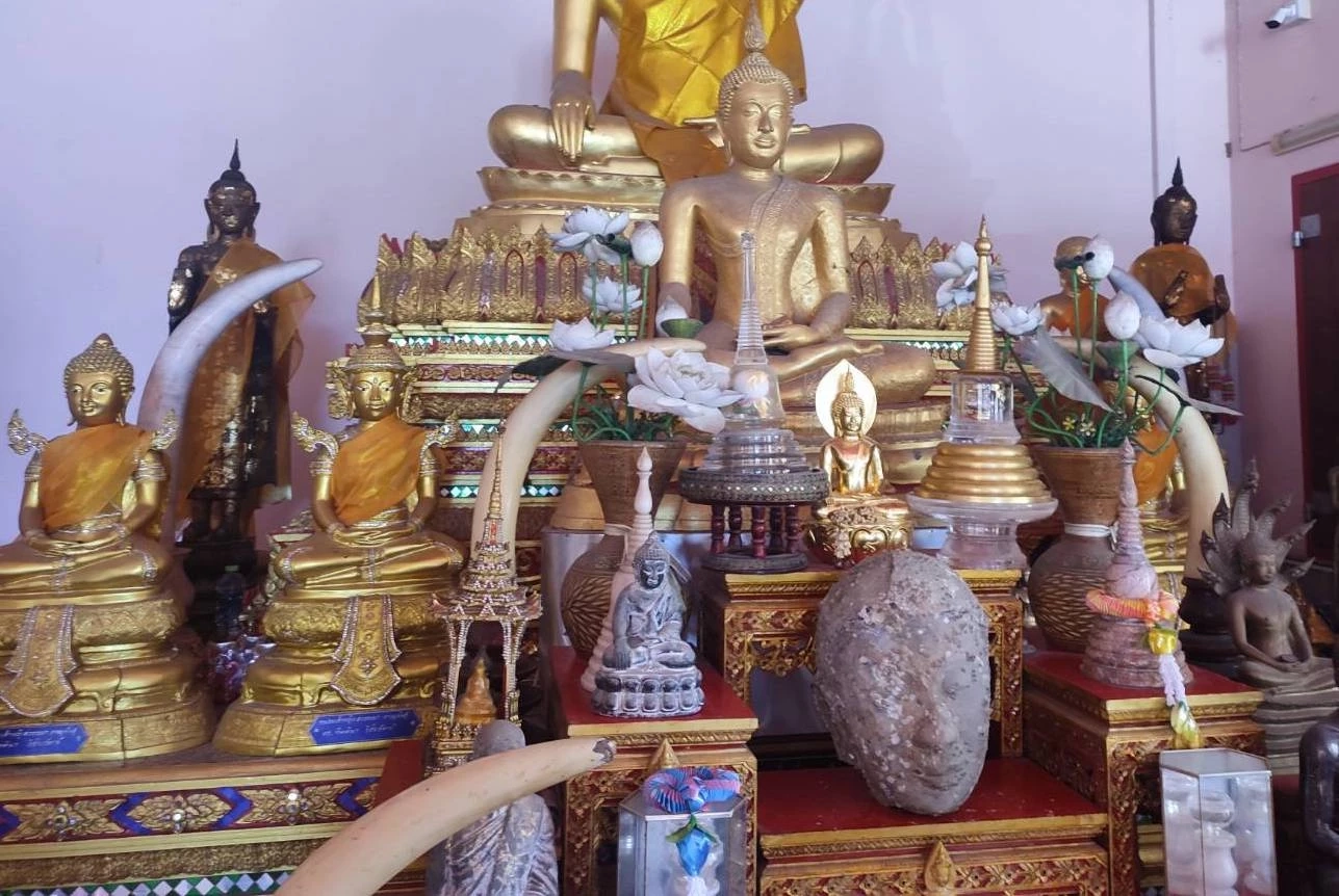 ชาวบ้านยกเศียรพระเก่า ใต้ต้นโพธิ์ ไปไว้ในวิหารหลวงพ่อเปี่ยม วัดเกาะหลัก