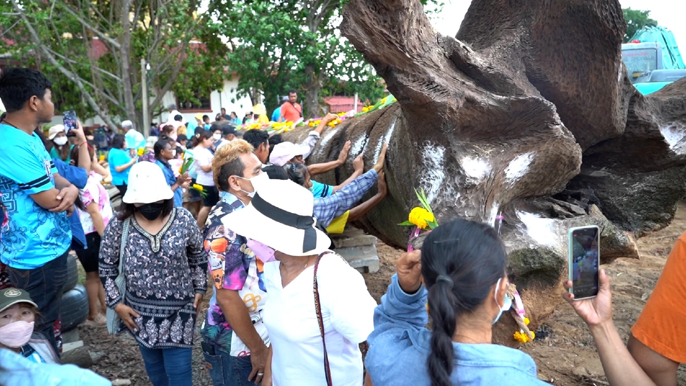 อัญเชิญ"แม่ตะเคียนแก้ว" นำขึ้นจากแม่น้ำเจ้าพระยา ชาวบ้านแห่ส่องเลขเด็ด