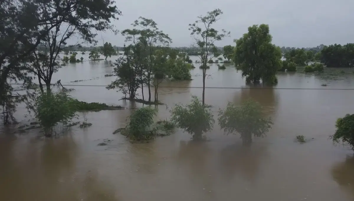 ฝนถล่มซ้ำนครพนมทั้งคืน ทำน้ำโขงเพิ่ม ลำน้ำสาขาล้น ท่วมนาข้าวหลายพันไร่