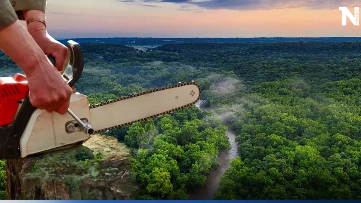 ฝันใหม่ของผืนป่าแอมะซอน จากการประชุม Amazon Summit 2023