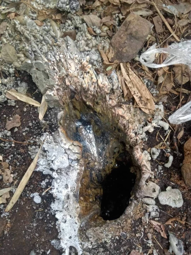 รู้สาเหตุ "ร่องรอยการปะทุของก้อนหิน" จ.ชัยภูมิ ที่แท้ไฟรั่วลงดิน