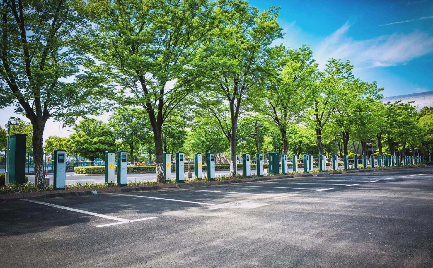 เปิดงานวิจัยใช้ต้นไม้กันคลื่นความร้อนในเขตเมือง ลดร้อน ลดการเสียชีวิต