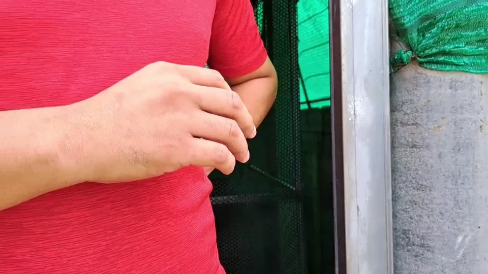 สามีของ น.ส.พินิช ยืนยันไม่เกี่ยวข้องเงินพันล้าน 