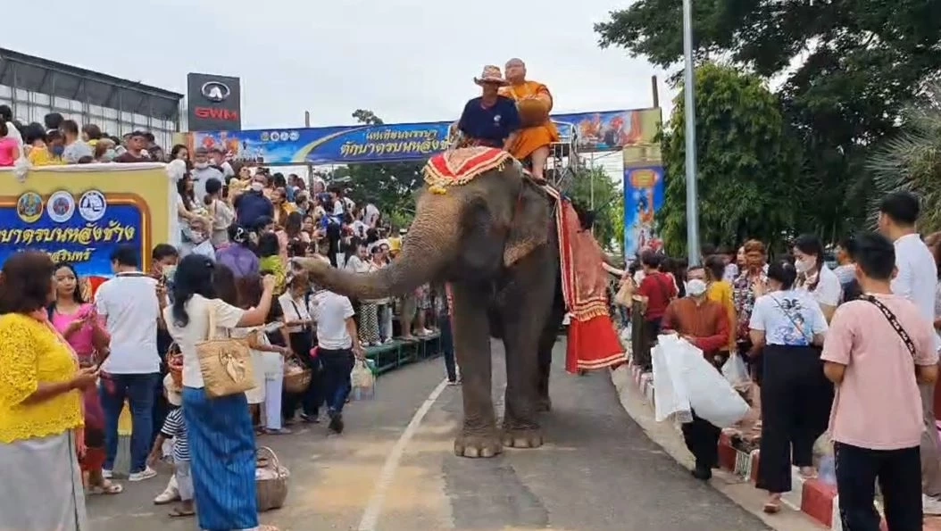 จังหวัดสุรินทร์จัดใหญ่ "ตักบาตรบนหลังช้าง" 37 เชือก เนื่องในวันอาสาฬหบูชา