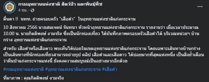 เปิดภาพสุดน่ารัก ครอบครัว "เสือดำ" ในอุทยานแห่งชาติแก่งกระจาน