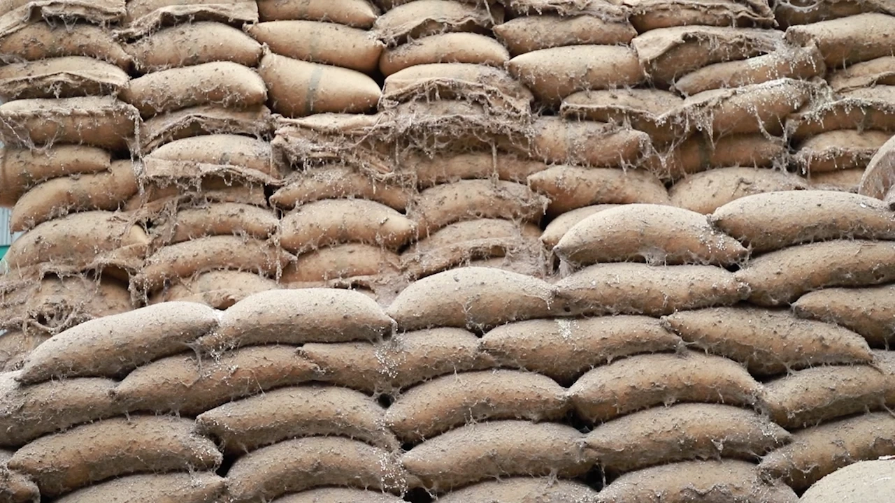 จวกยับ อคส. ไร้ความรับผิดชอบ ทิ้งข้าวเน่า 8 ปี ภาระผู้ประกอบการ จี้ขนออกโกดัง