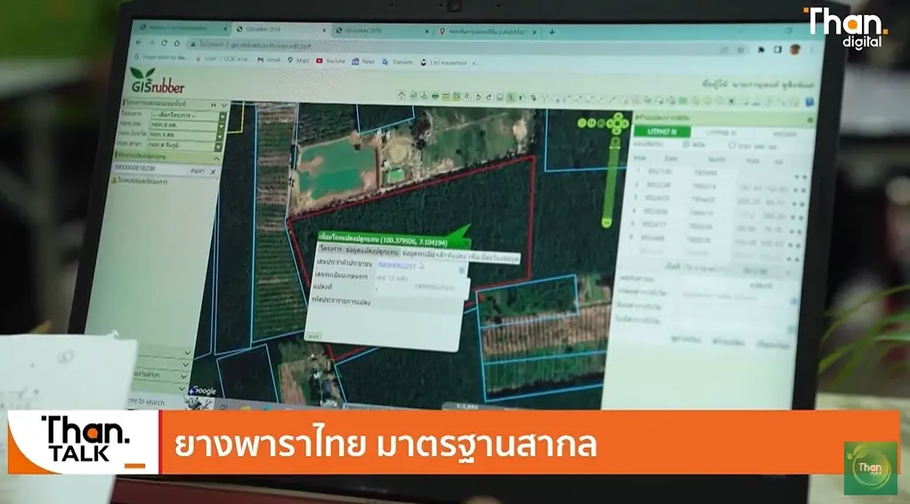 กยท.พลิกวิกฤติ ดันสินค้ายางพาราไทยปลอดทำลายป่า ชูเป็นจุดแข็งขายทั่วโลก