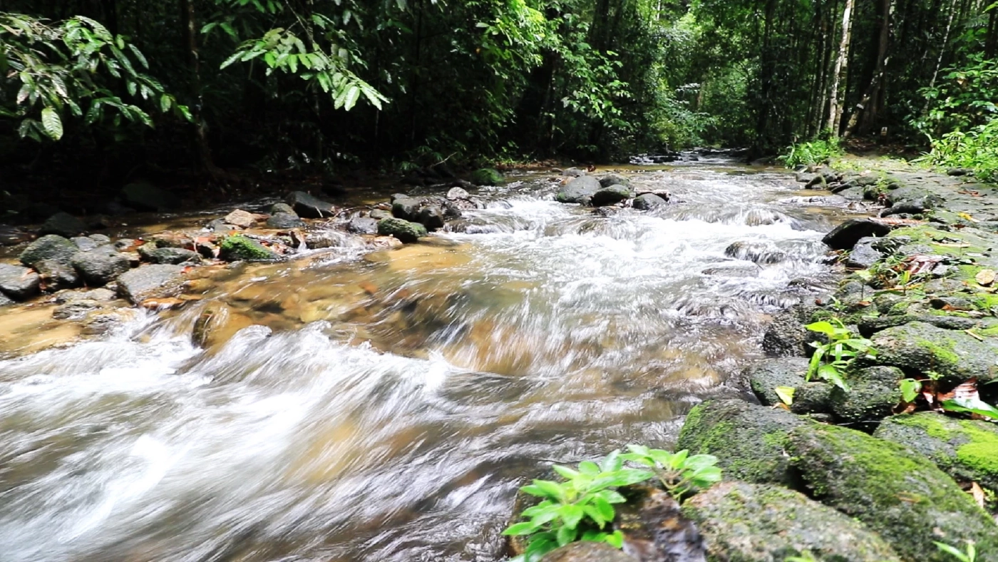 น้ำตกโตนไพร ที่เที่ยวพังงาหน้าฝน เดินชมธรรมชาติงาม