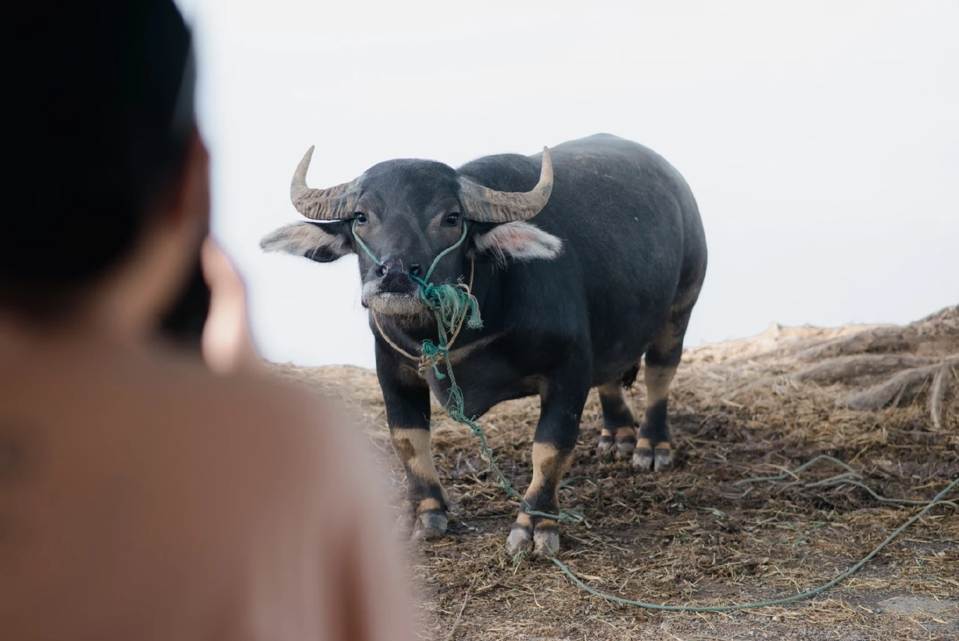 แจกแพลนเที่ยวสุโขทัย “สุโขไทม์” เรียนรู้วิถีชุมชน-ประวัติศาสตร์มรดกโลก