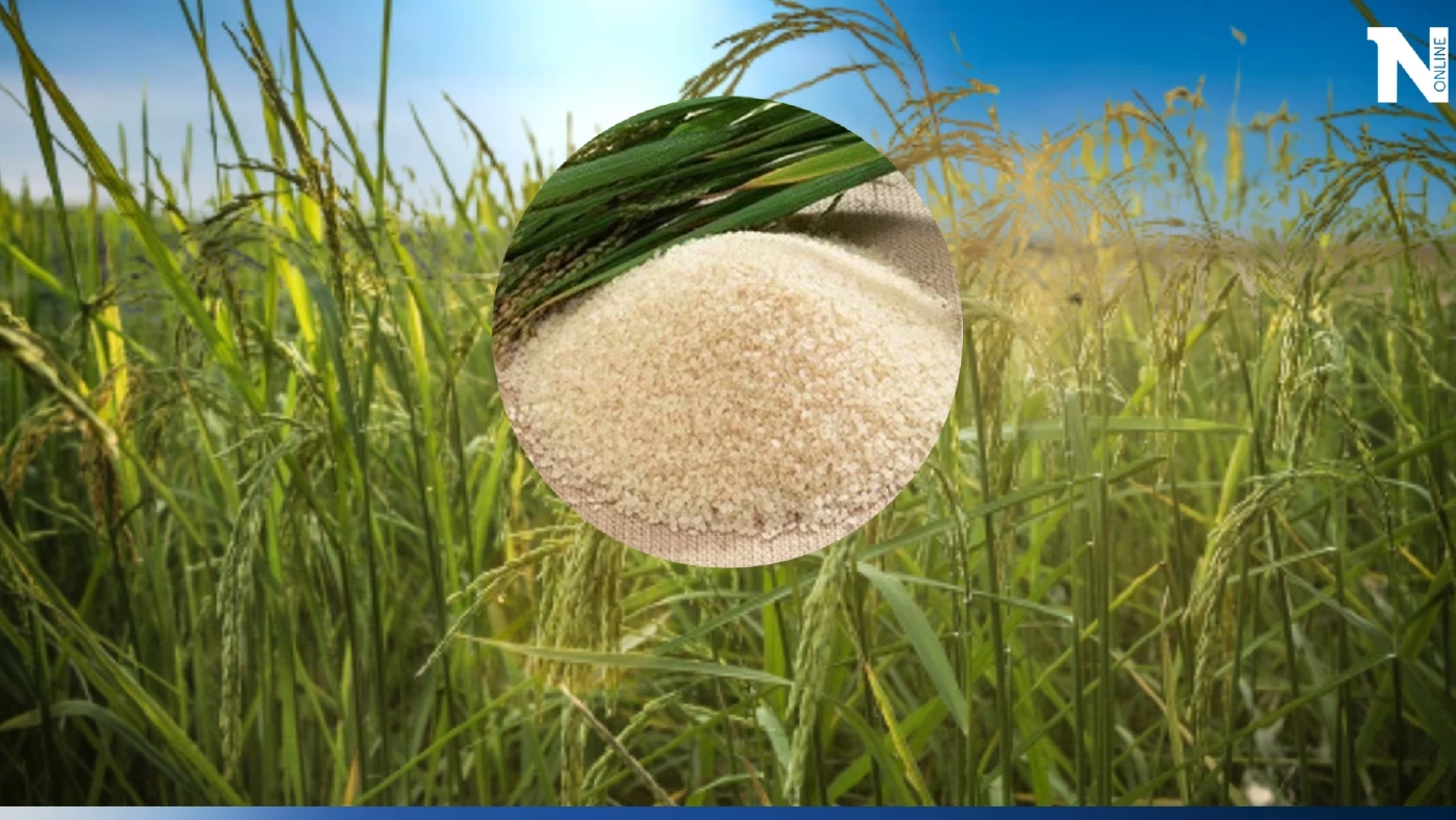 ข้าวไทยราคาพุ่ง !  รับอานิสงส์อินเดียเบรกส่งออก