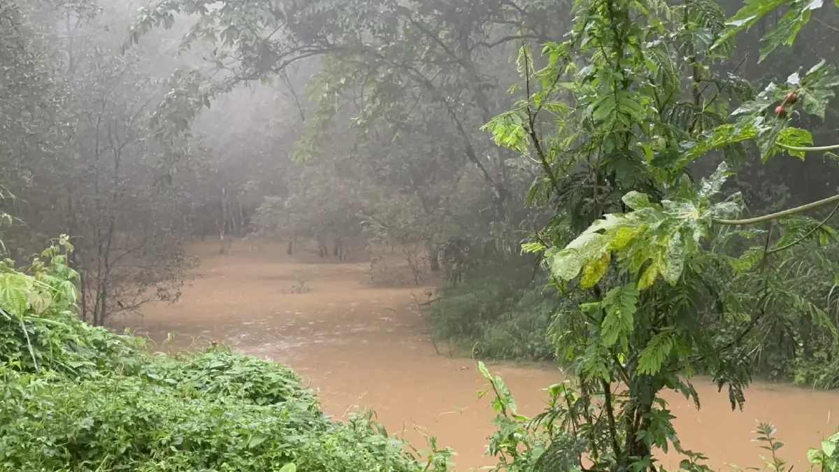 "น่าน" ฝนถล่มหนัก เกิดดินสไลด์ปิดทับเส้นทาง น้ำป่าล้นตลิ่งหลายจุด