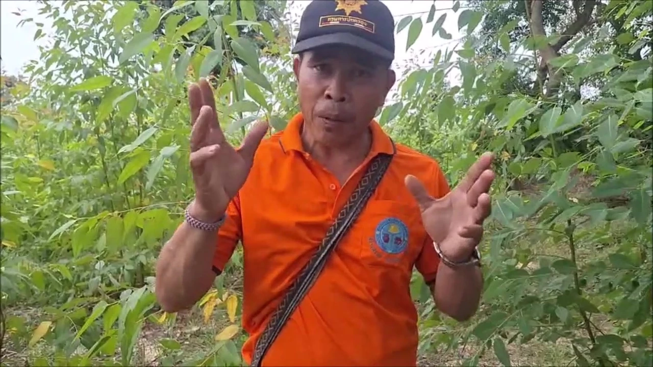 ชาวบ้านผวา ตัดคอวัวแม่ลูกอ่อน ถึงขั้นขายวัวทิ้งยกฝูง วอนตำรวจเร่งล่าโจร