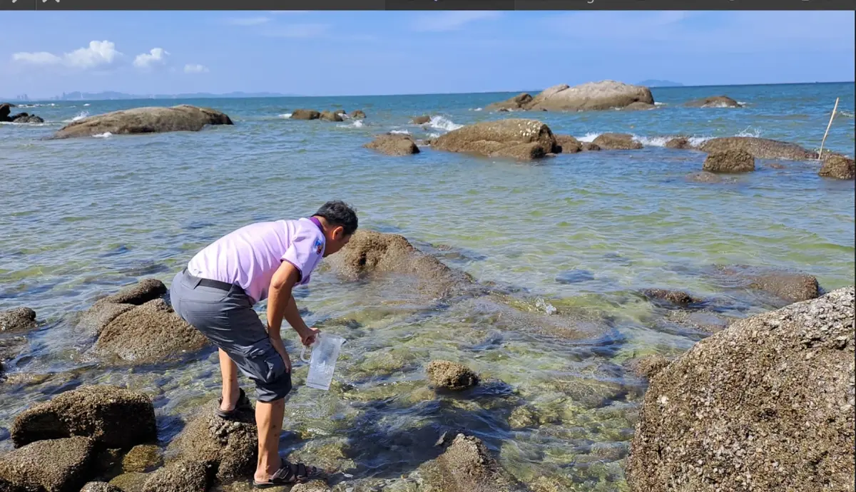 คพ.ชี้ หาดบางแสนสู่ภาวะปกติ แนะเฝ้าระวัง "น้ำทะเล" ไม่นำเข้าสู่ร่างกาย