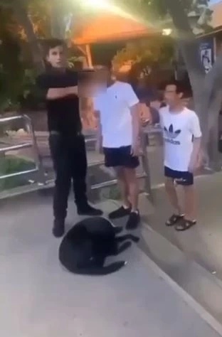 ตร. เร่งตรวจสอบ คลิปต่างชาติสุดกร่าง ใช้ปืนขู่แก๊งคูเวต บนจุดชมวิวพัทยา