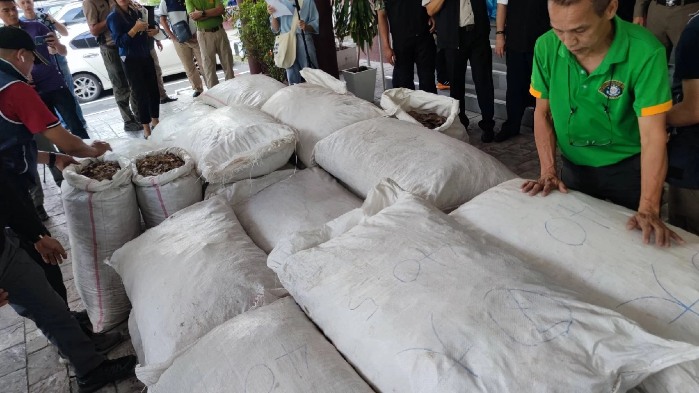 ทลายขบวนการขนตัวนิ่ม หนัก 1.4 ตัน มูลค่า 50 ล้าน เตรียมส่งขายประเทศที่ 3