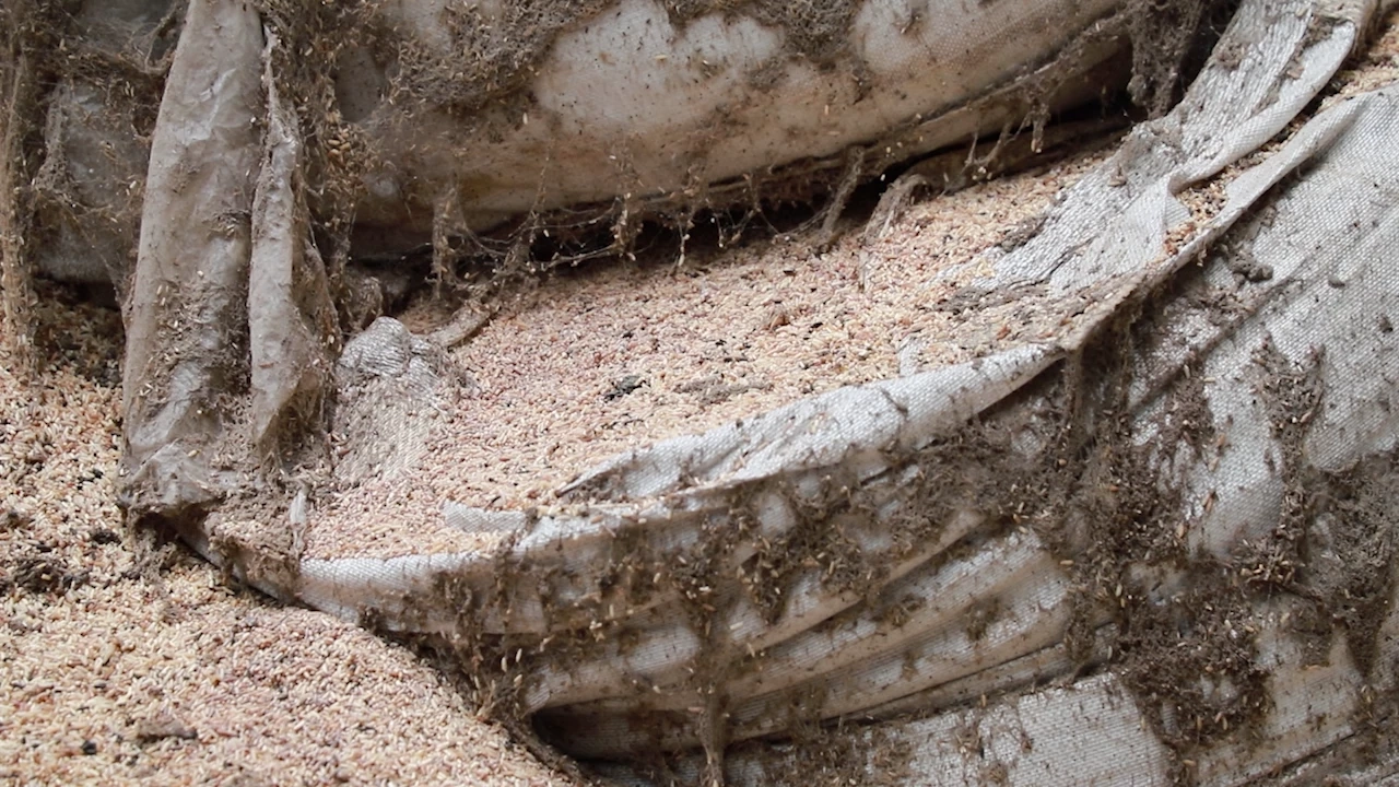 จวกยับ อคส. ไร้ความรับผิดชอบ ทิ้งข้าวเน่า 8 ปี ภาระผู้ประกอบการ จี้ขนออกโกดัง