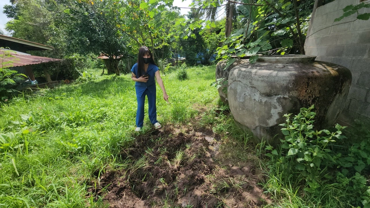 แม่ร้องสื่อ ลูก 8 ขวบ ถูกอาเขย จับฝังดินทั้งเป็น อ้างหลานแกล้งลูก จึงสั่งสอน