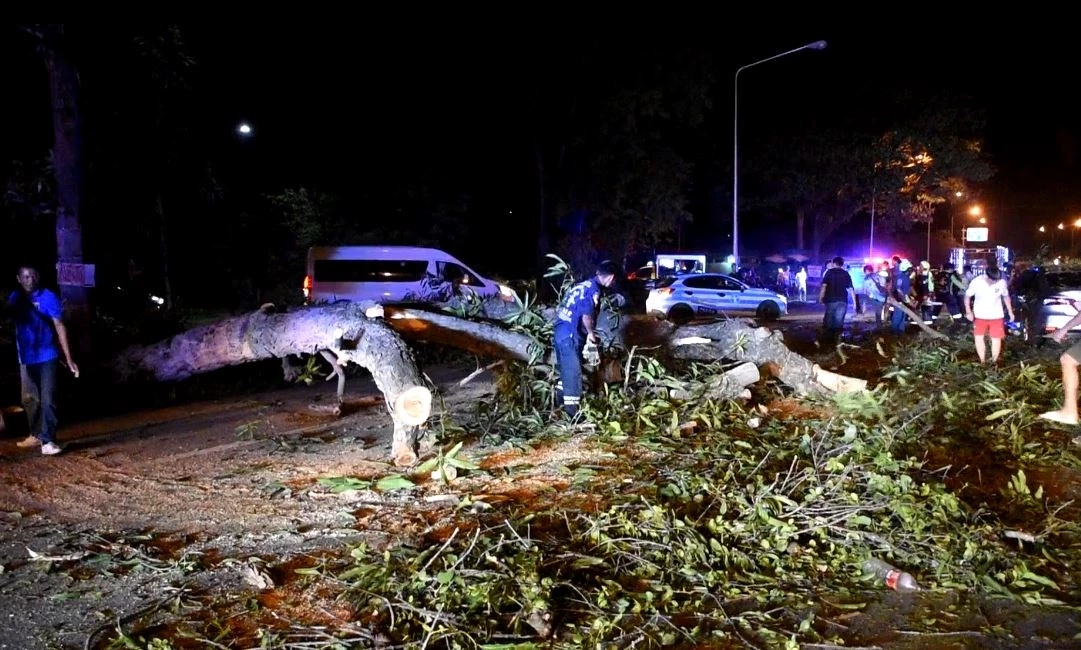 ต้นไม้ล้มขวางถนน รถชาวบ้านพุ่งชน ดับ 1 สาหัส 2 รองผู้ว่าฯ อุตรดิตถ์ รอดหวุดหวิด