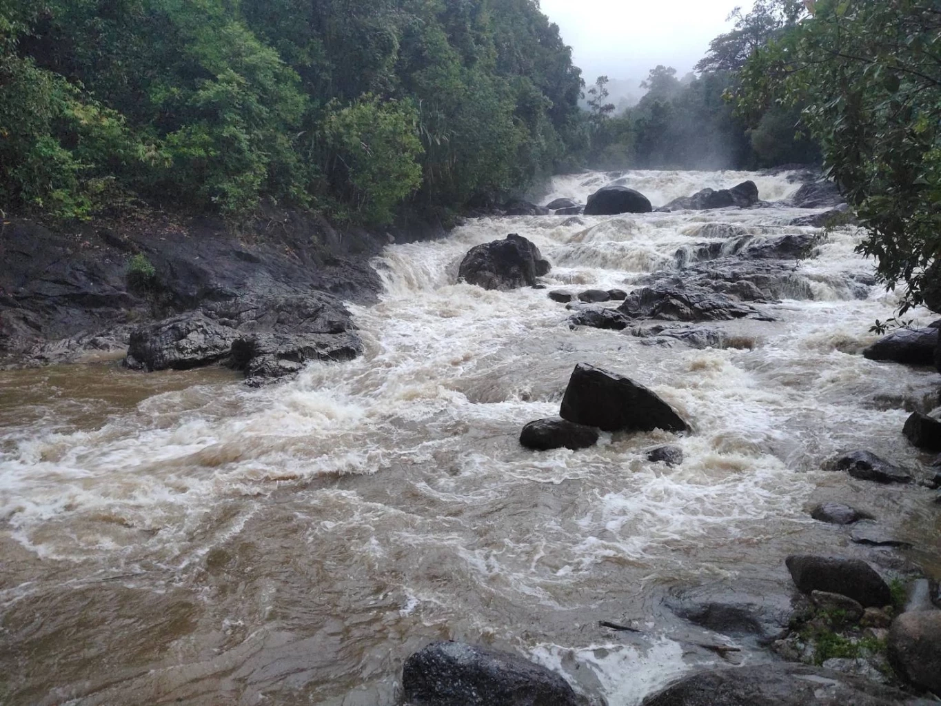 พัทลุงฝนตกหนัก น้ำป่าไหลแรง จนท.เฝ้าระวังน้ำท่วมฉับพลัน