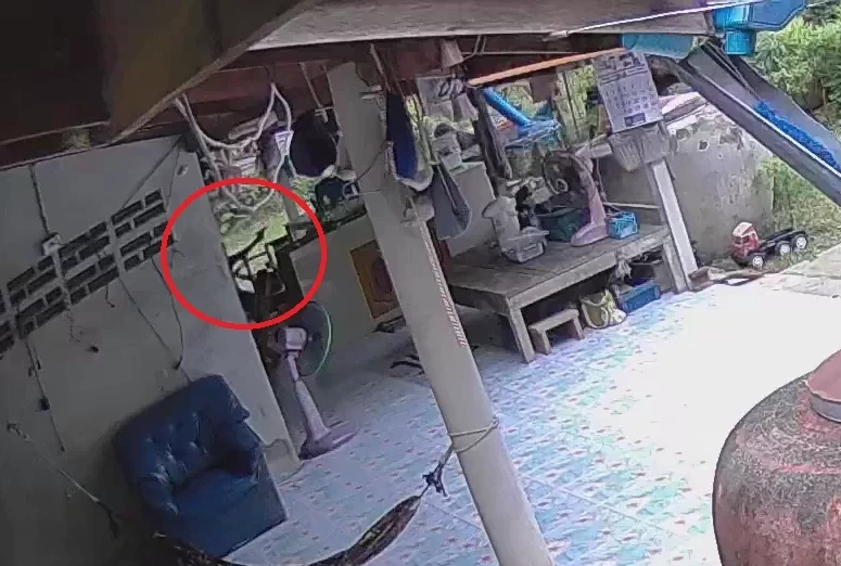 ภาพนาทีเกิดเหตุุ