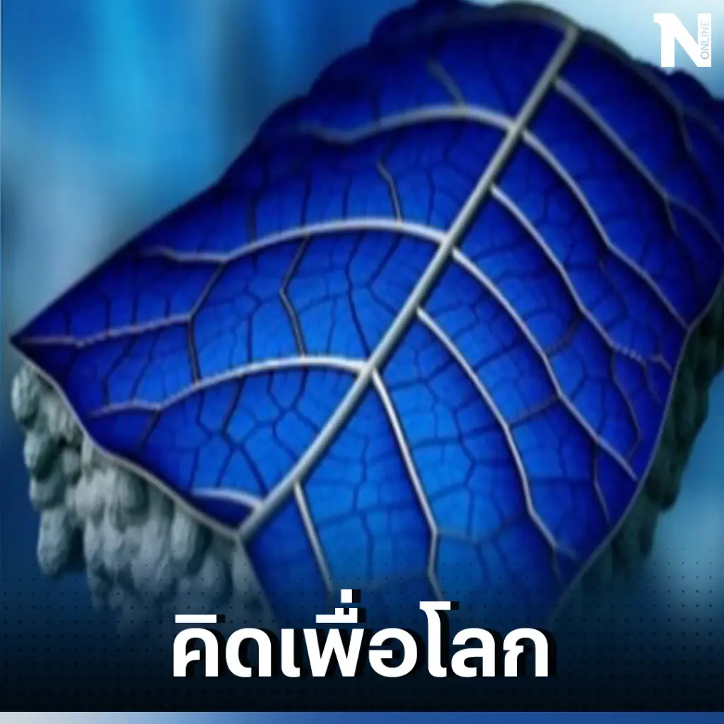 อังกฤษคิดค้น ‘Solar leafs’ แผ่นโซลาร์เซลล์ทรงใบไม้ ประสิทธิภาพสูงในการผลิตไฟฟ้า
