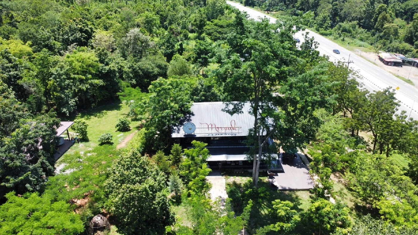 แฟน ๆ ร่วมอนุโมทนา หลัง ไก่ มีสุข ถวายที่ดินกว่า 20 ไร่ สร้างที่พำนักสงฆ์