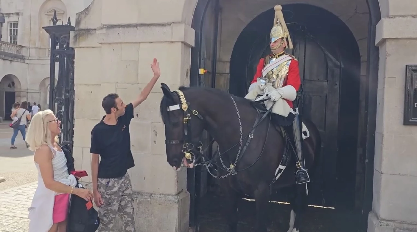 ทหารม้าบักกิงแฮมสร้างความประทับใจให้หนุ่มพิเศษ