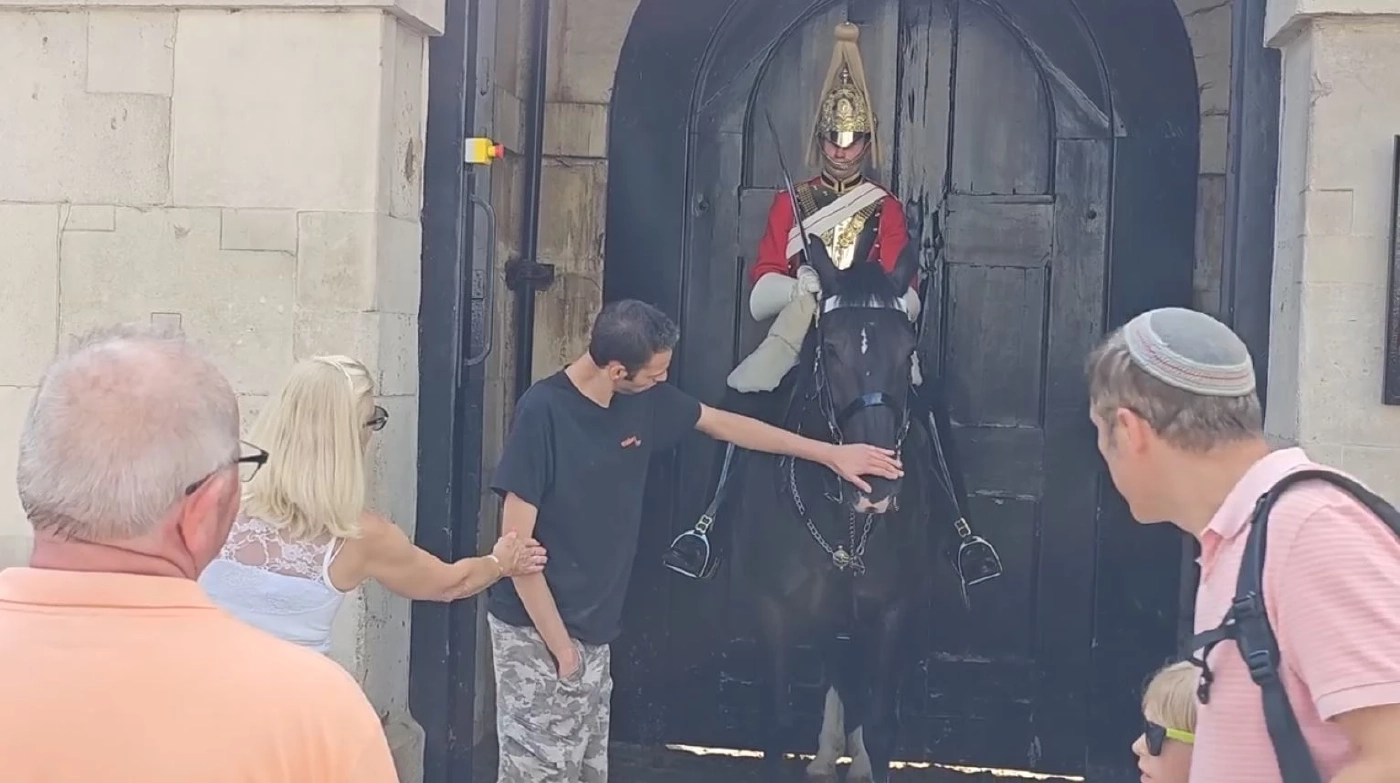 ทหารม้าบักกิงแฮมสร้างความประทับใจให้หนุ่มพิเศษ