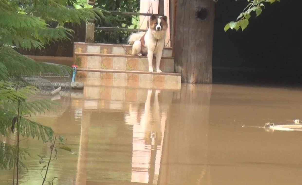 ตรังฝนตกหนัก น้ำป่าหลากเข้าท่วม 2 อำเภอ ชาวบ้านเฝ้าระวัง-เตรียมย้ายหมูหนีน้ำ
