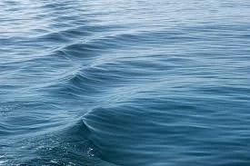 เตือนแรง สัญญาณอันตรายโลกรวน มหาสมุทรดูดซับความร้อน 90% 