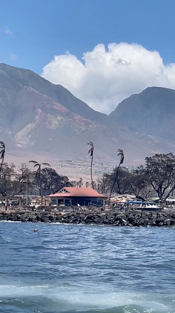 ยอดผู้เสียชีวิตไฟป่าฮาวายพุ่ง 55 ราย–ไบเดนประกาศพื้นที่ภัยพิบัติ