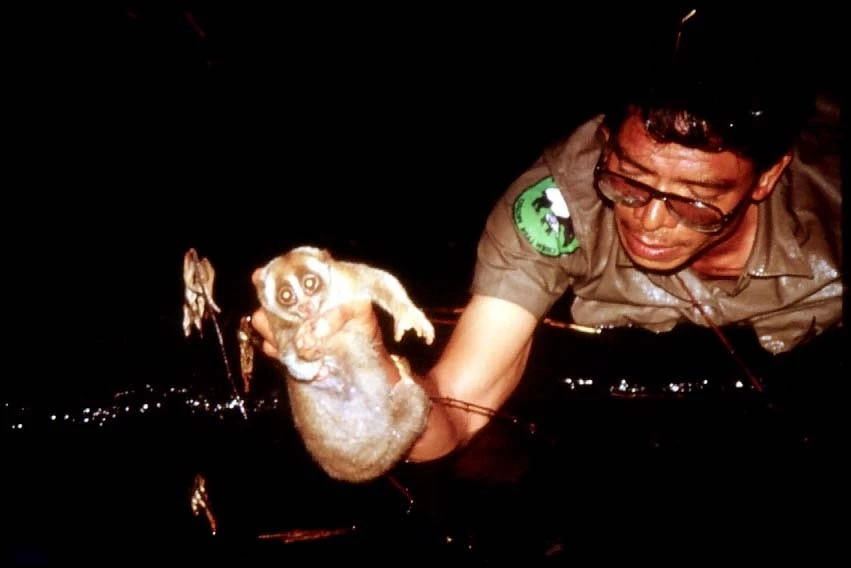 รำลึก 33 ปี "สืบ นาคะเสถียร" นักอนุรักษ์ผู้ยิ่งใหญ่ ผู้พิทักษ์ผืนป่าห้วยขาแข้ง