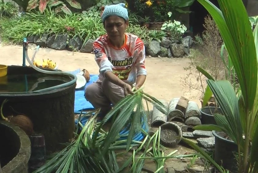 ส่องอาชีพเลี้ยงหนูพุกใหญ่ สายพันธุ์พัฒนา แบบออแกนิค พร้อมเผยเมนูไฮไลท์